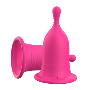 A0081